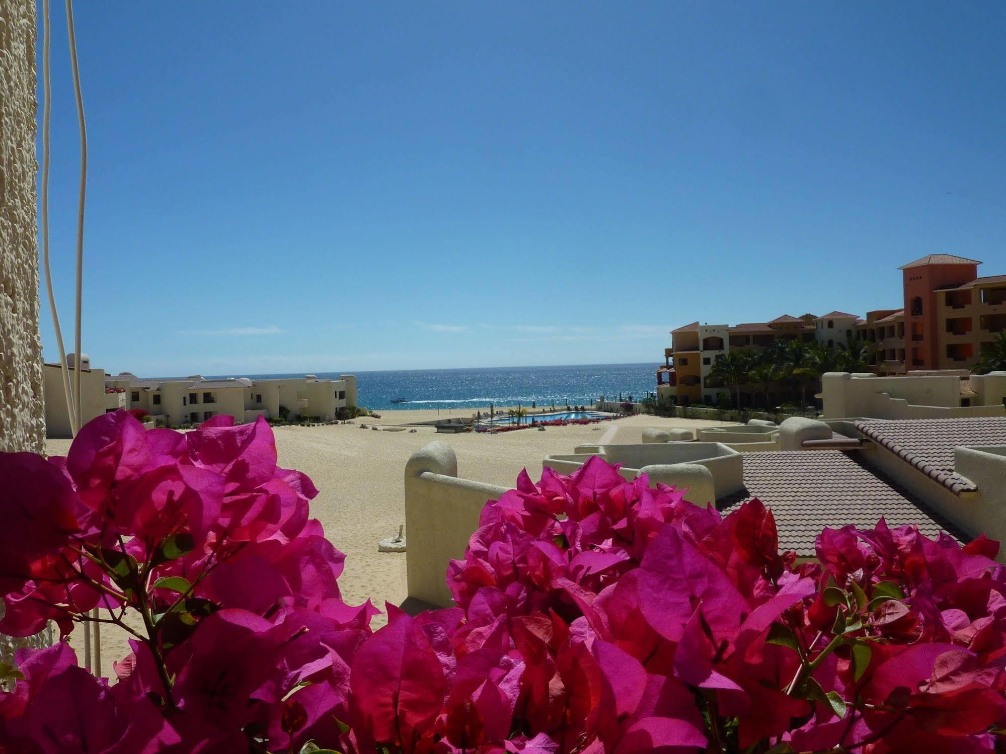 Terrasol 254 Apartment *