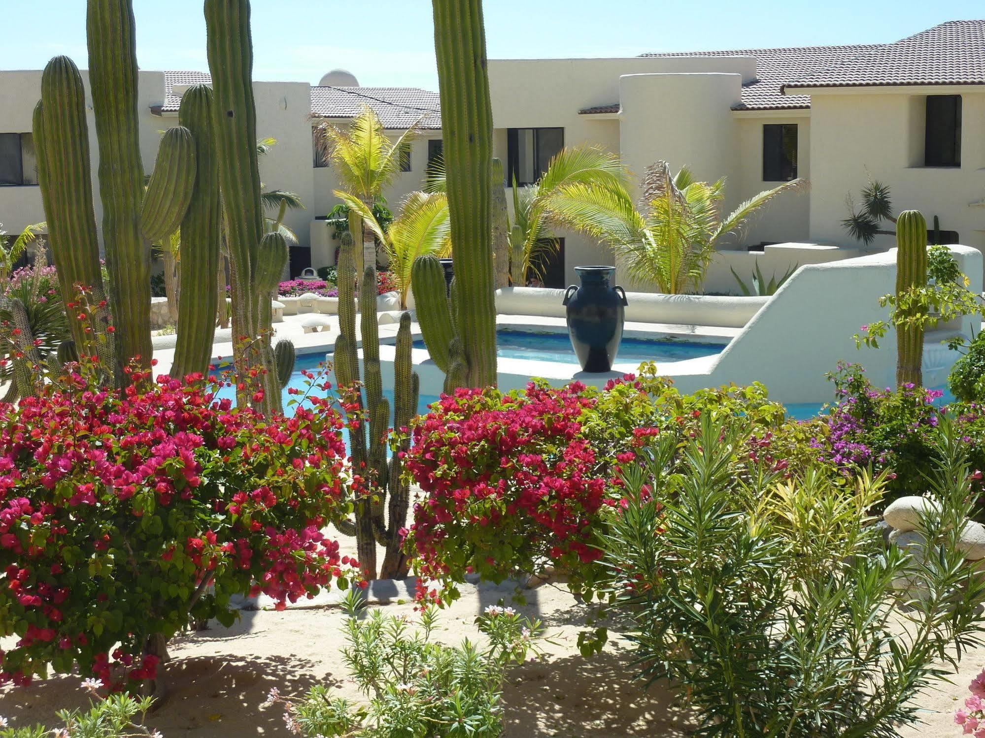 Apartment Terrasol 254