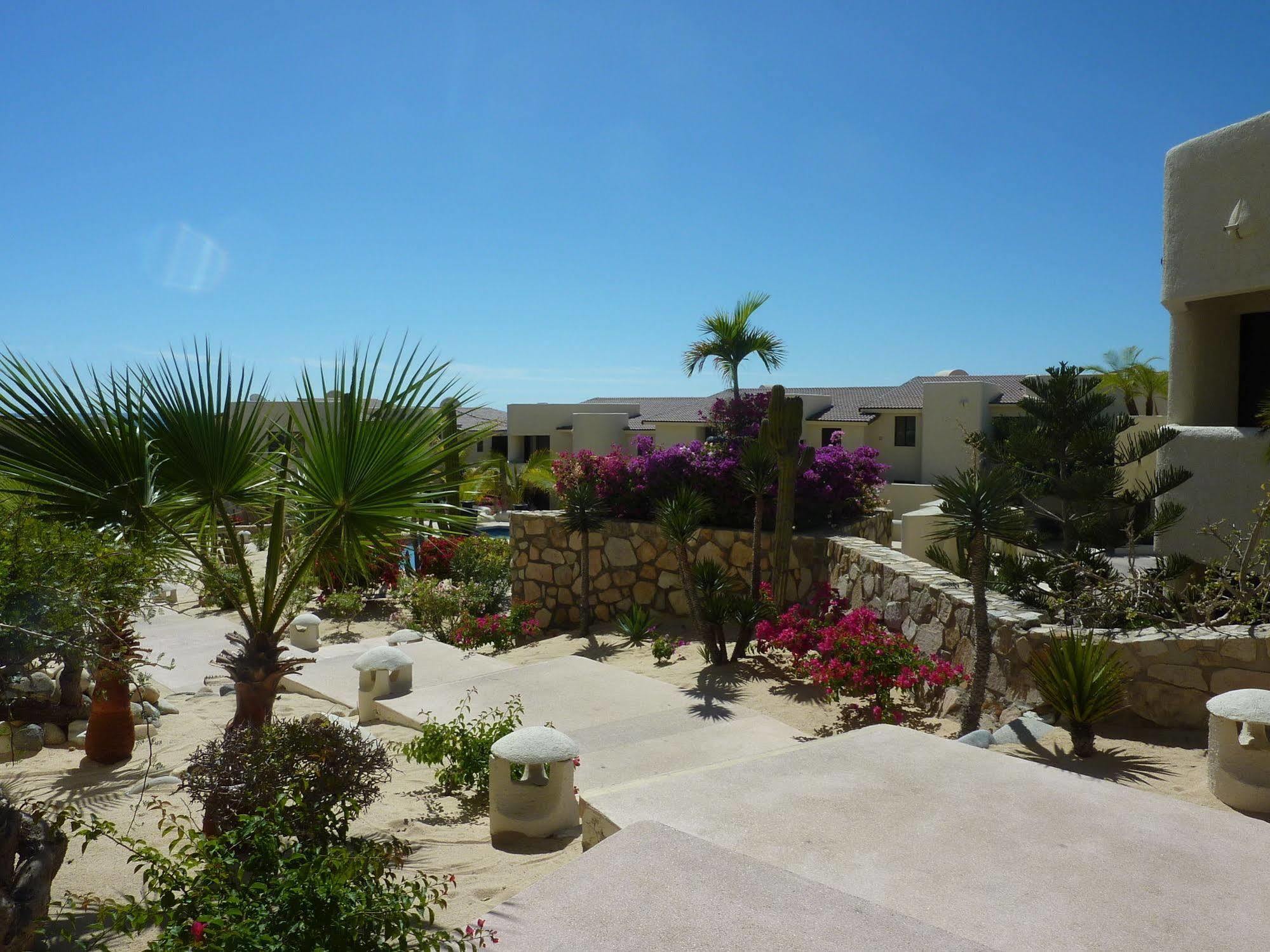 Terrasol 254 Cabo San Lucas