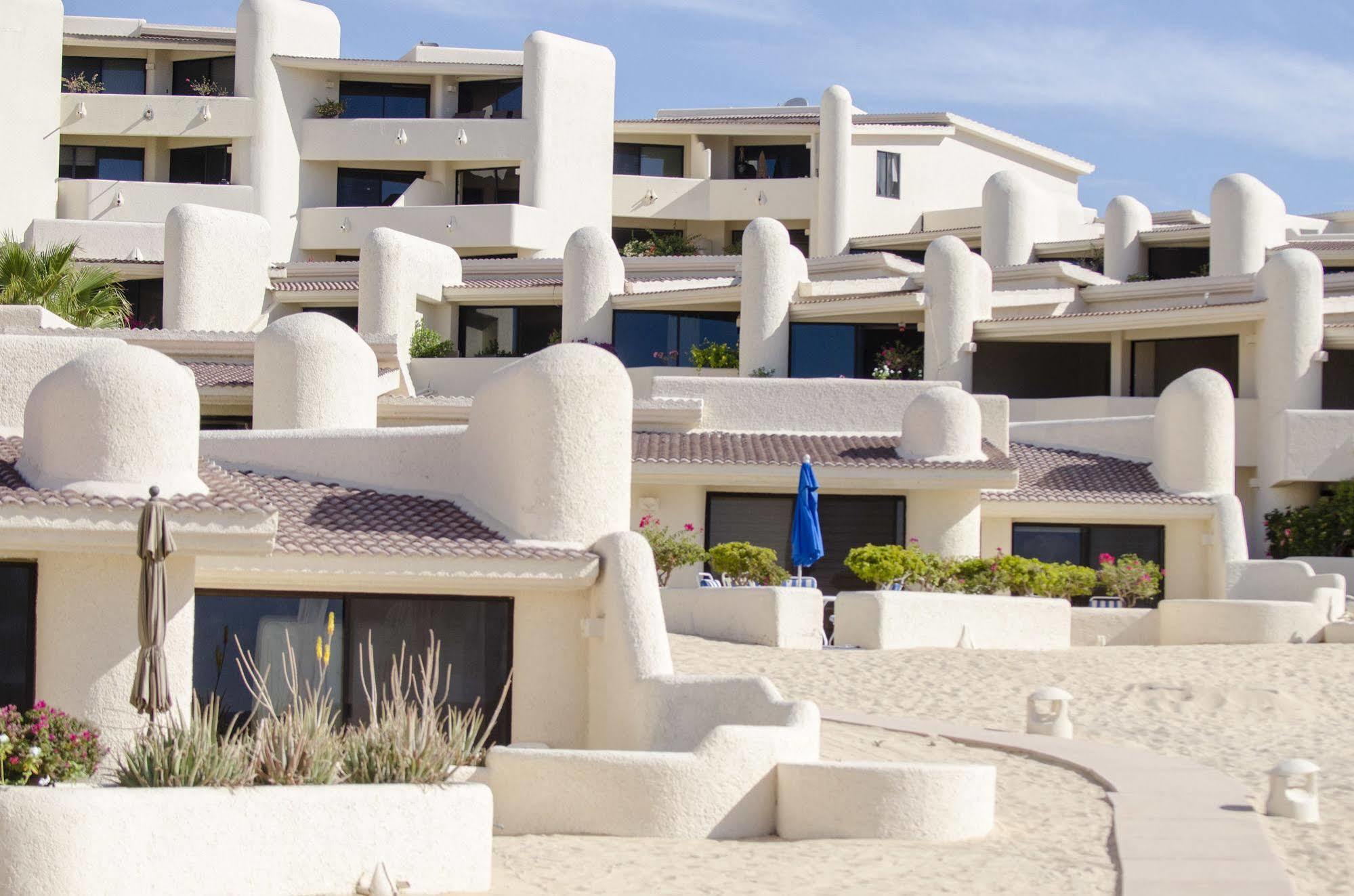 Terrasol 254