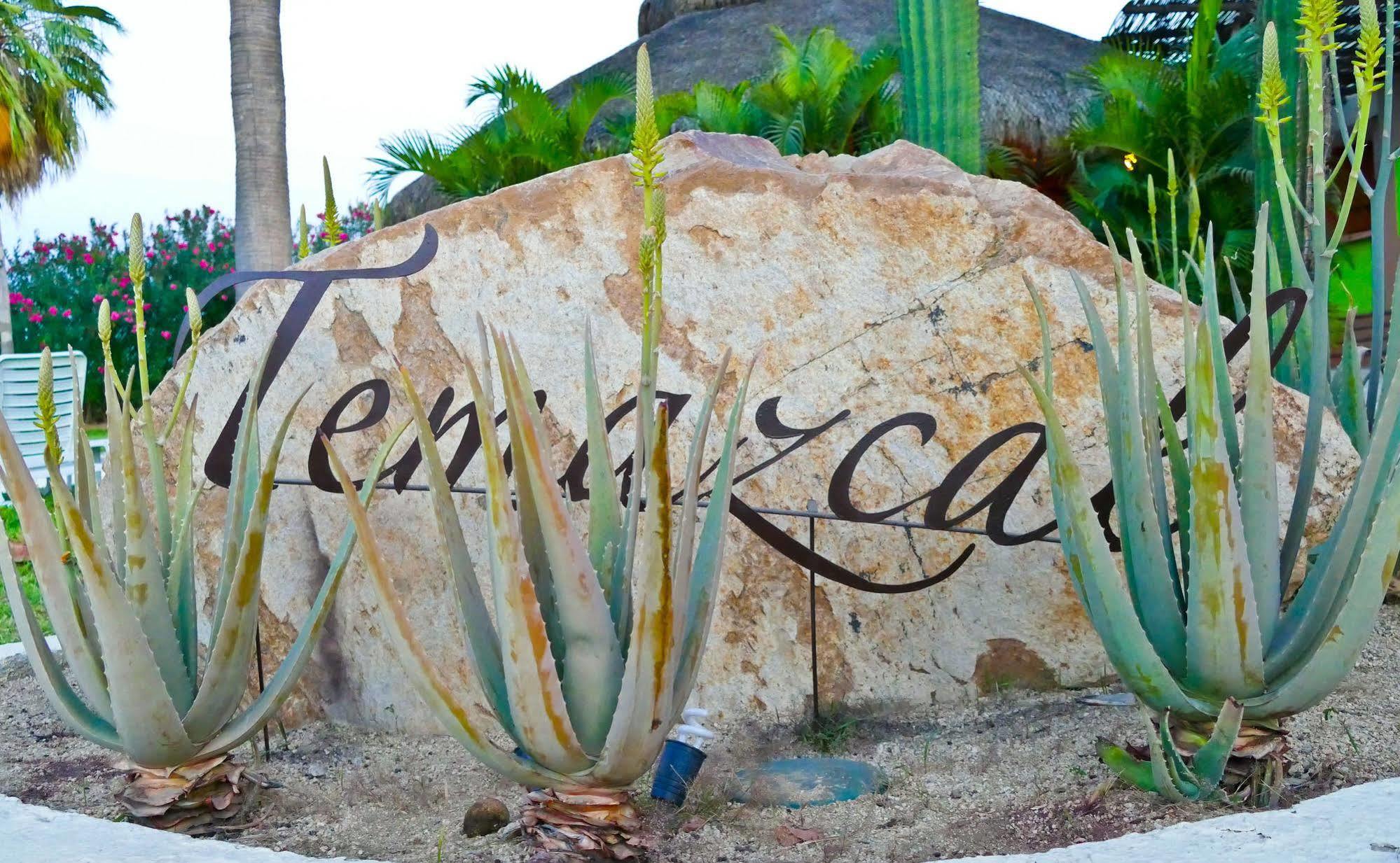 El Ameyal And Family Hotel Cabo San Lucas