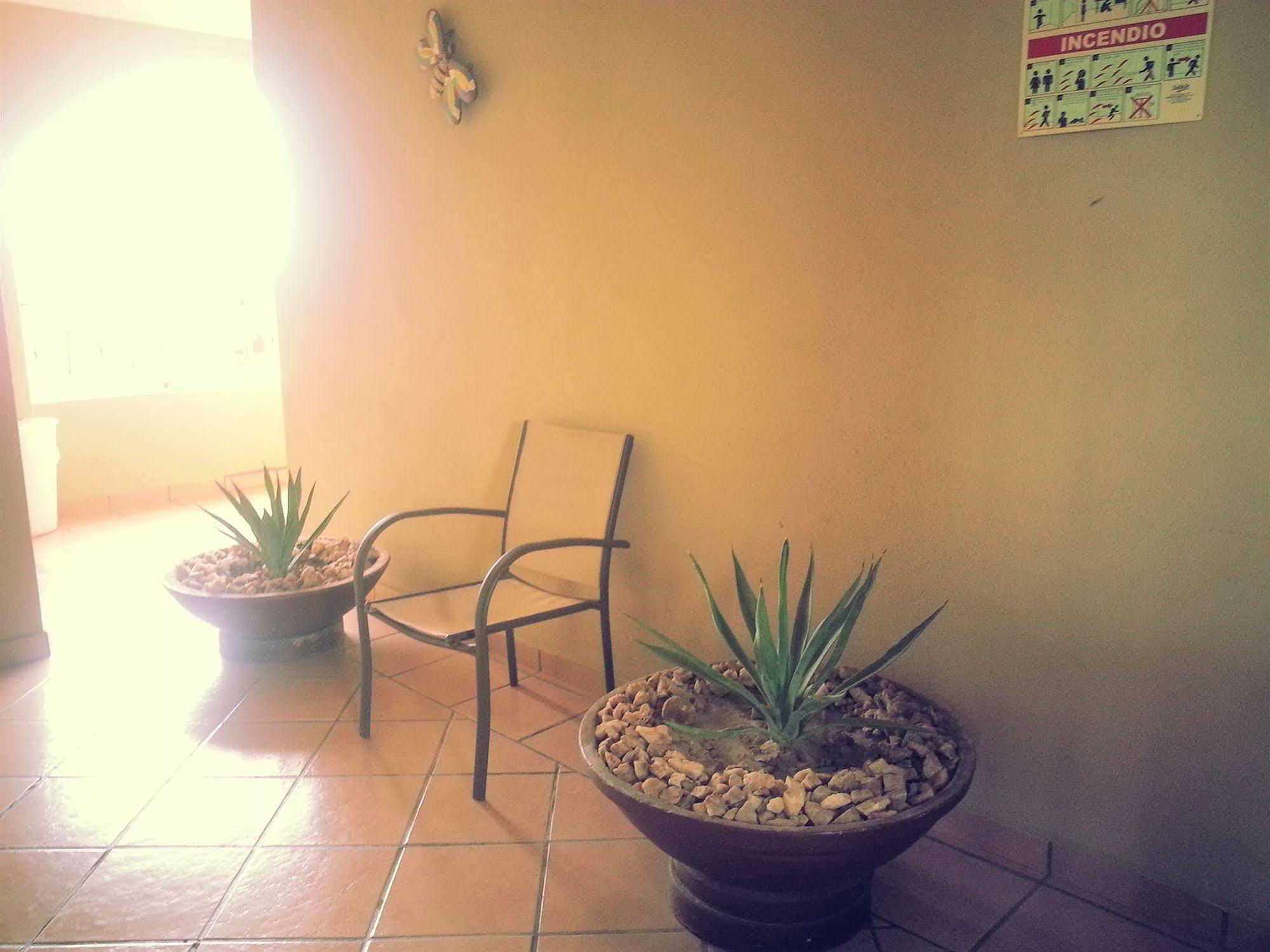 Plaza Arcos 2*