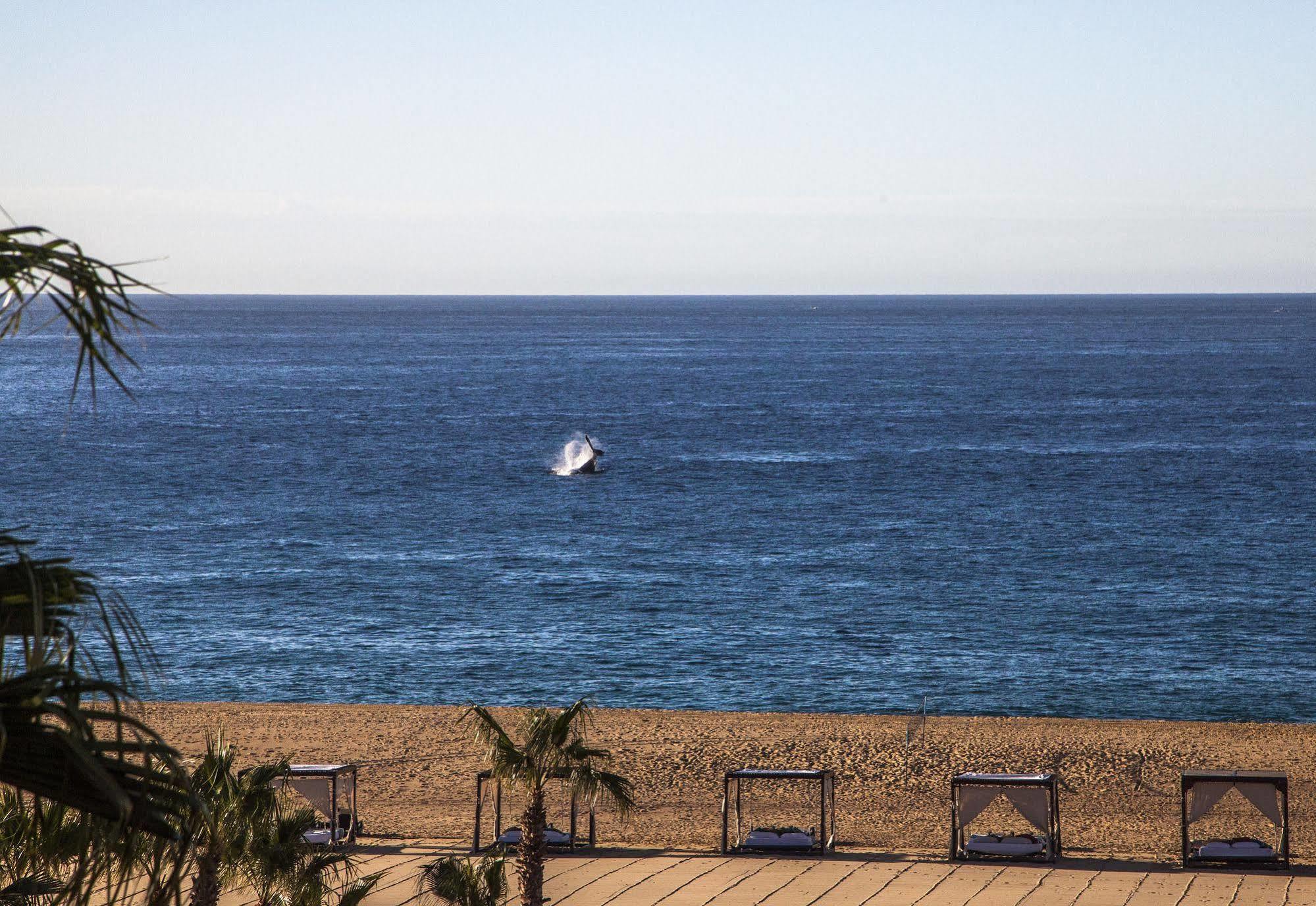 The Towers At Pueblo Bonito Pacifica (adults Only)