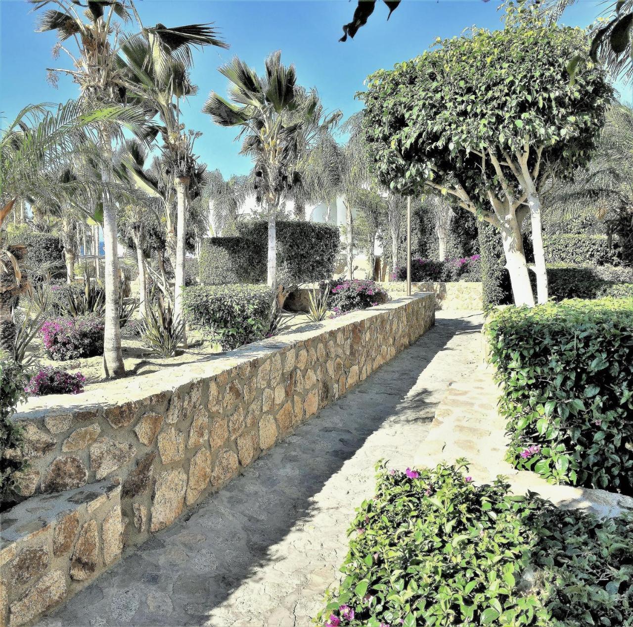 Hotel Cabo Pedegal Special Sleeps 2 Or 3 Or 4 Persons *