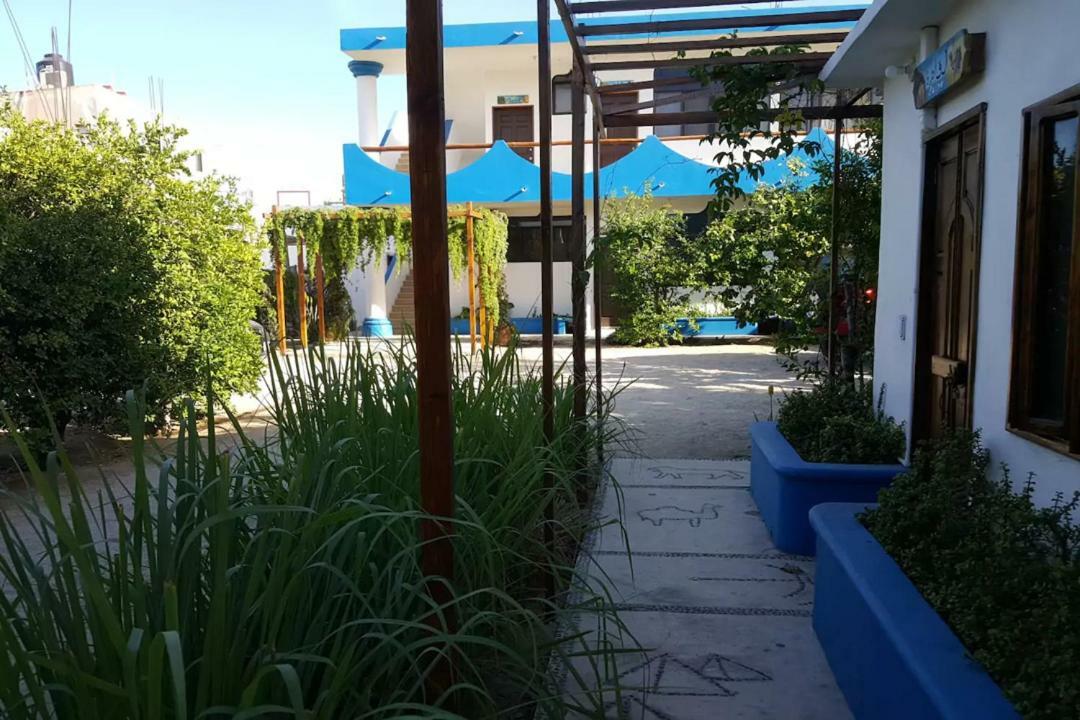 Apartamento Guest house