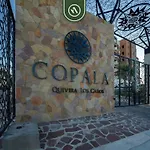 Copala At Quivira 71