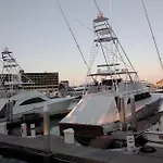 Harbour Junior Suite