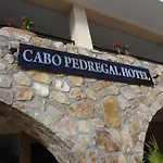 One Of A Kind Cabo Family Unit