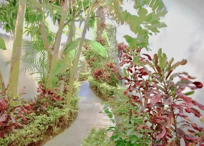 Casa Colibri Cumbres Jardin