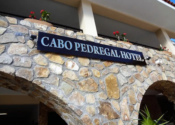 Safest Hotel In All Of Cabo