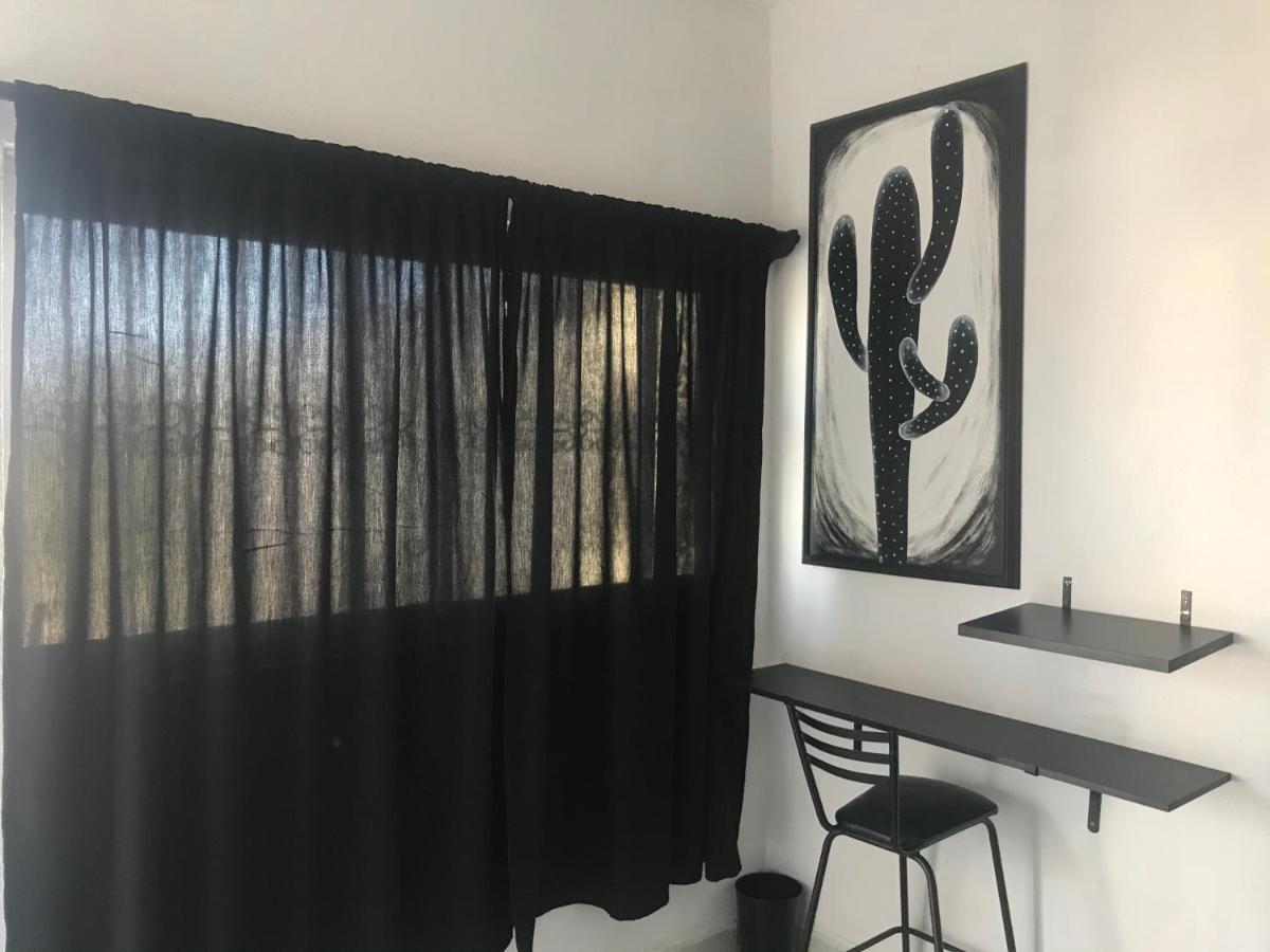 Cozy Black And White Studio Apartment Cabo San Lucas