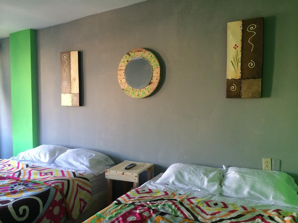 Bajas Cactus Hostel