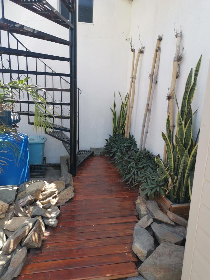 Michelle's Place Cabo San Lucas