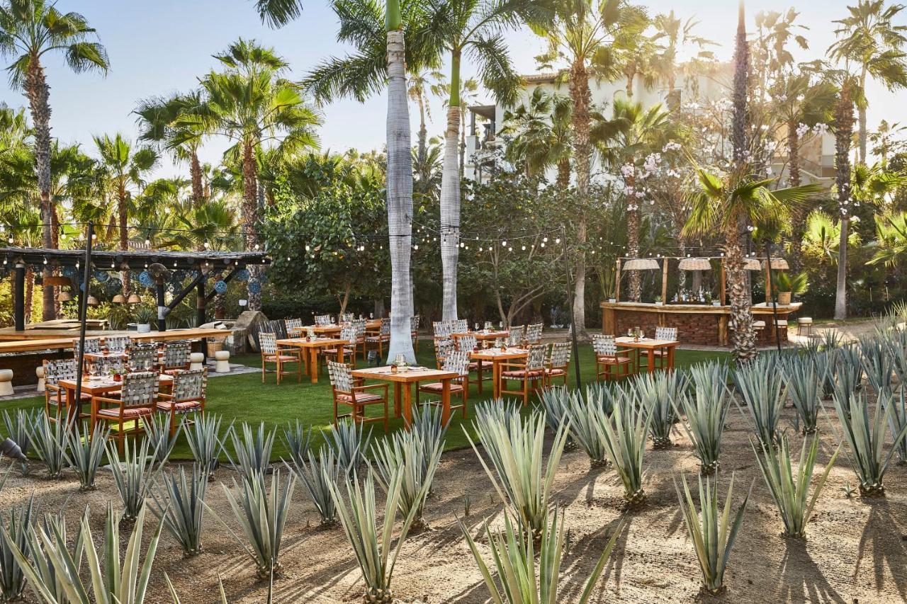 Esperanza, Collection 5* Cabo San Lucas