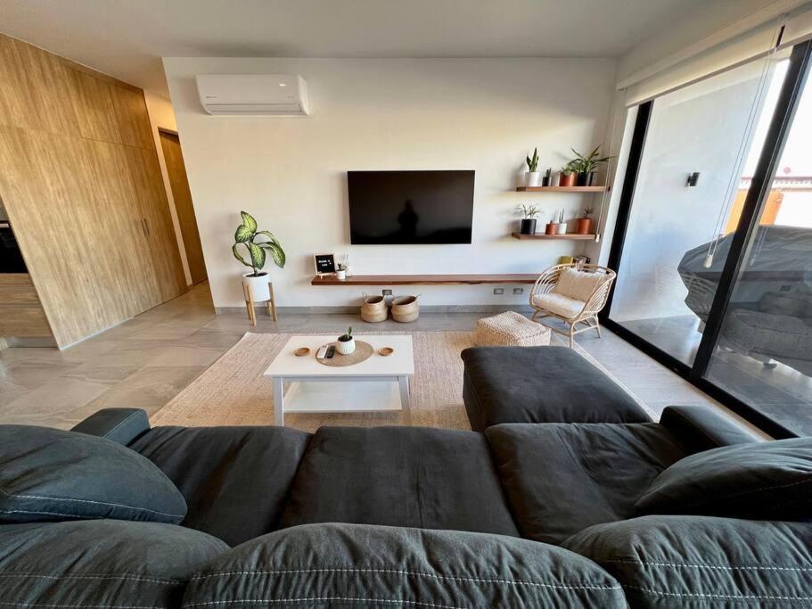 Pet Friendly 2br 2ba In Apartment Cabo San Lucas