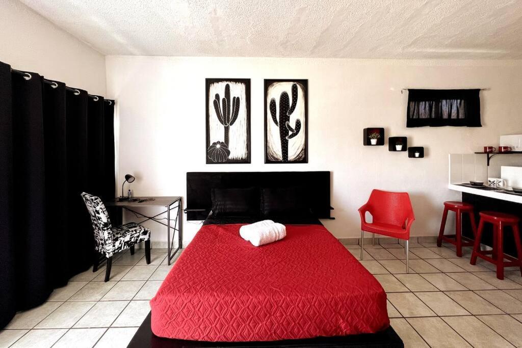The Black & White The Coziest Place In Cabo Apartment