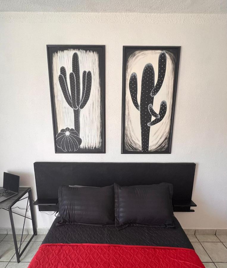 The Black & White The Coziest Place In Cabo Cabo San Lucas
