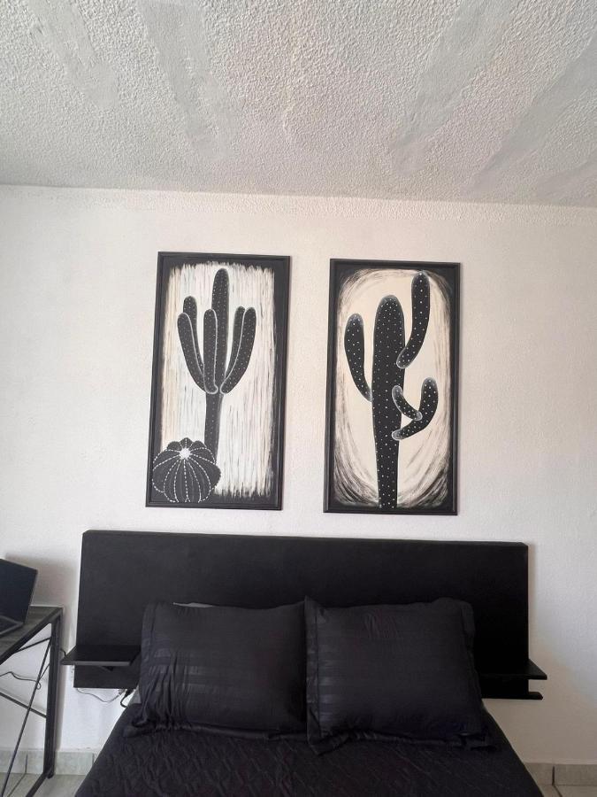 The Black & White The Coziest Place In Cabo * Cabo San Lucas