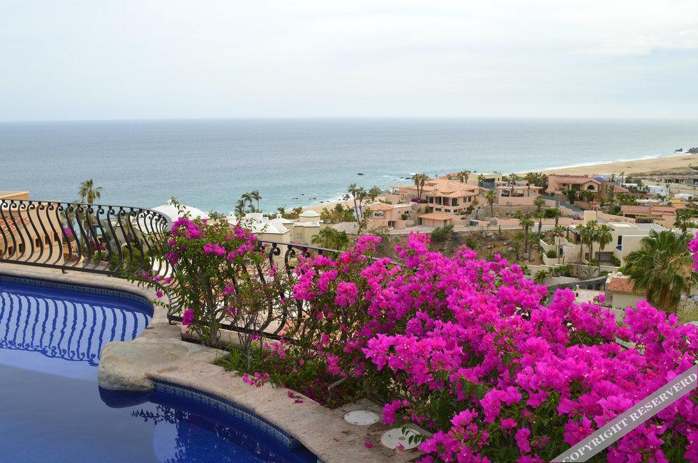 Las Flores 4*