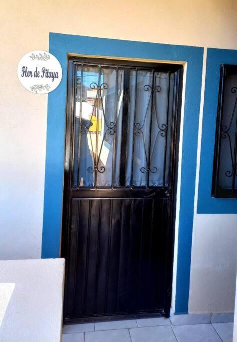 Apartment Loft Flor De Pitaya