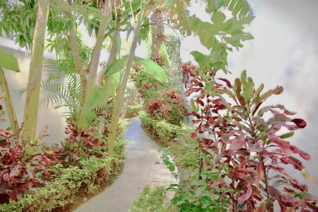 Holiday home Casa Colibri Cumbres Jardin