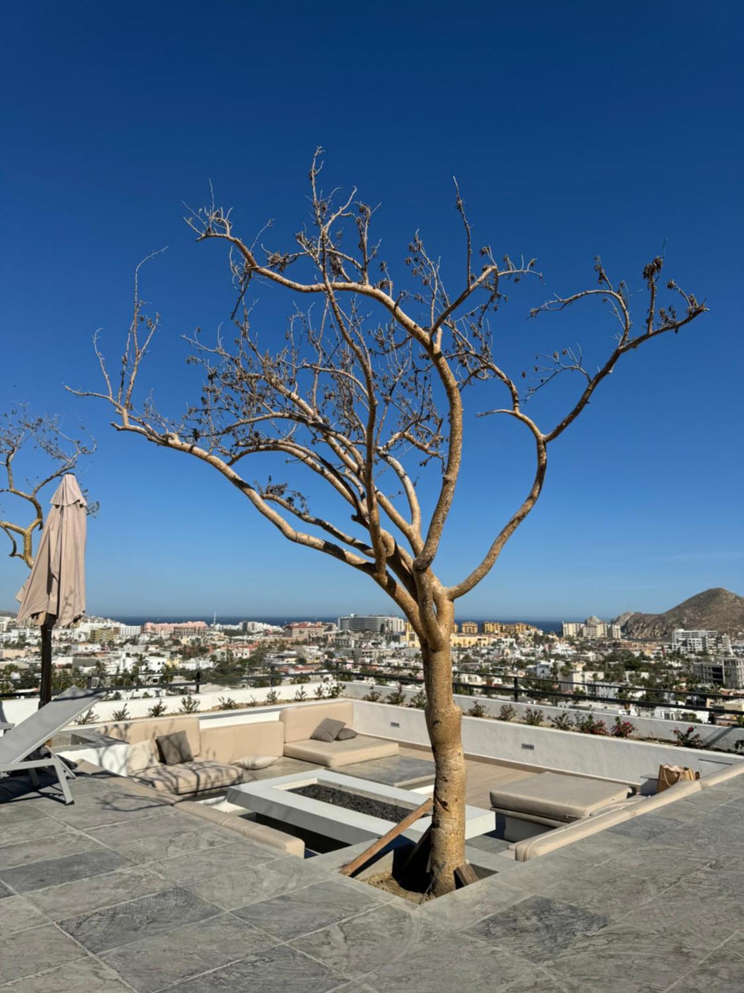 Apartment Live! Departamento Centrico Con Asombroso Rooftop Y Alberca