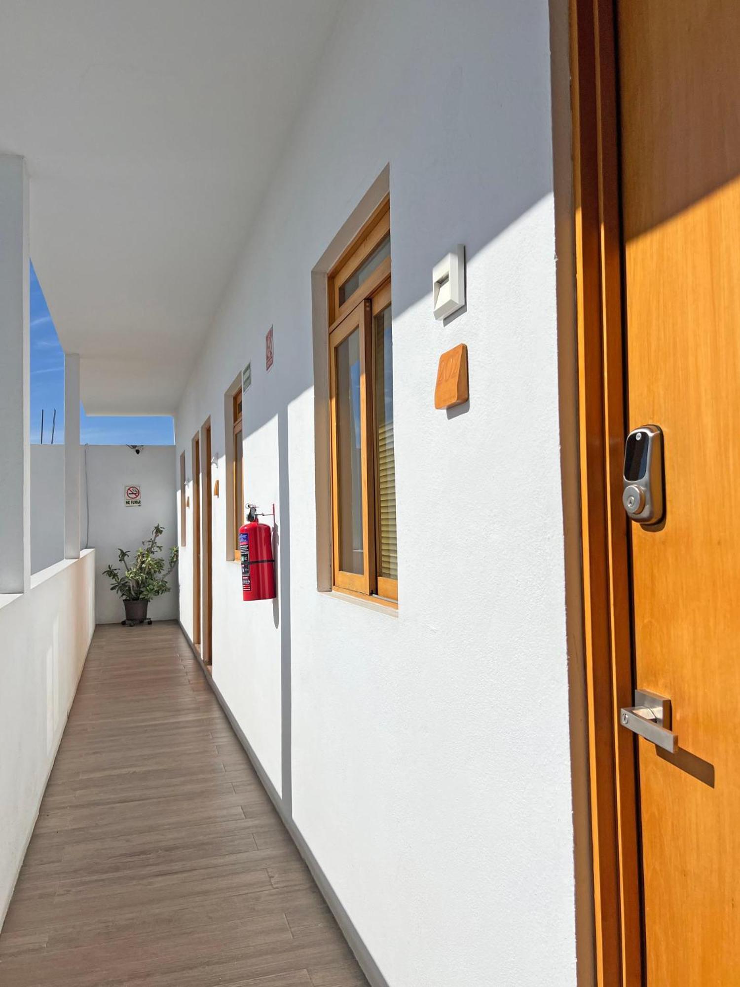 Casa Palo Cabo San Lucas
