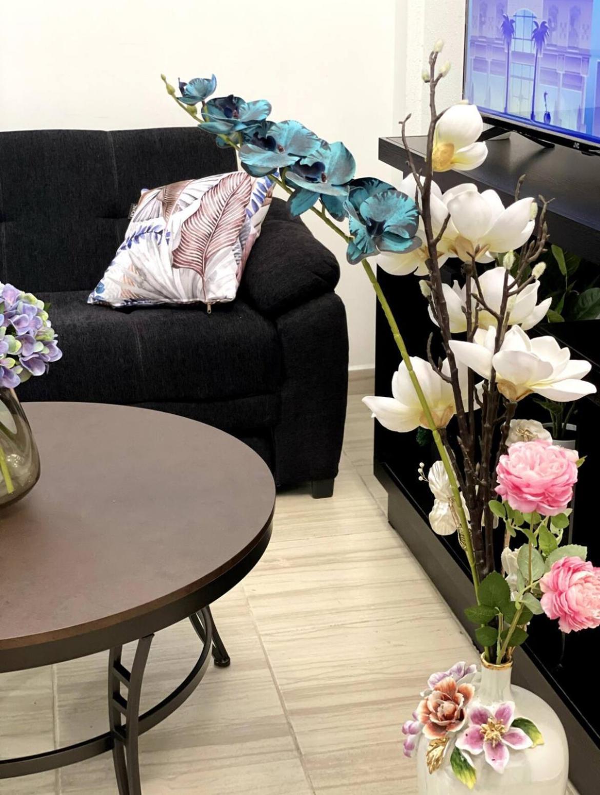 Cabo Lofts Apartment