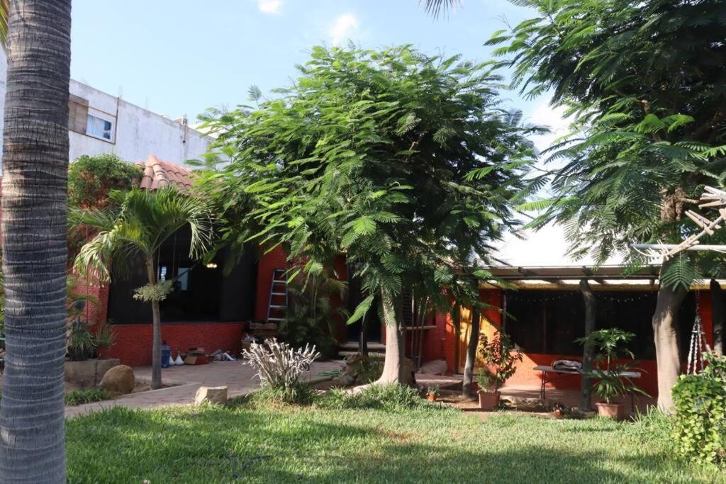 Guest house And Surf