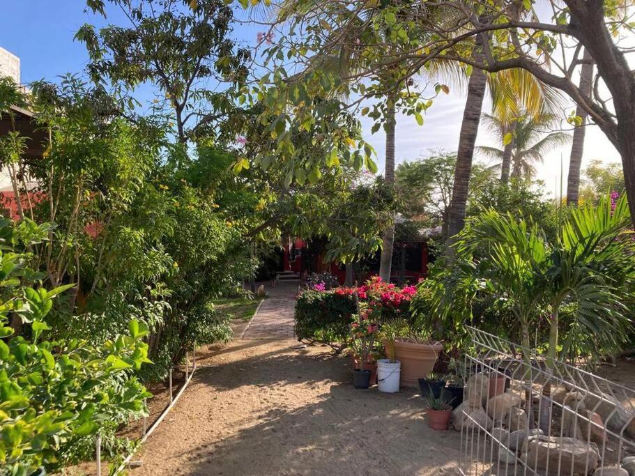 Casa Cabo, & Surf Holiday home *