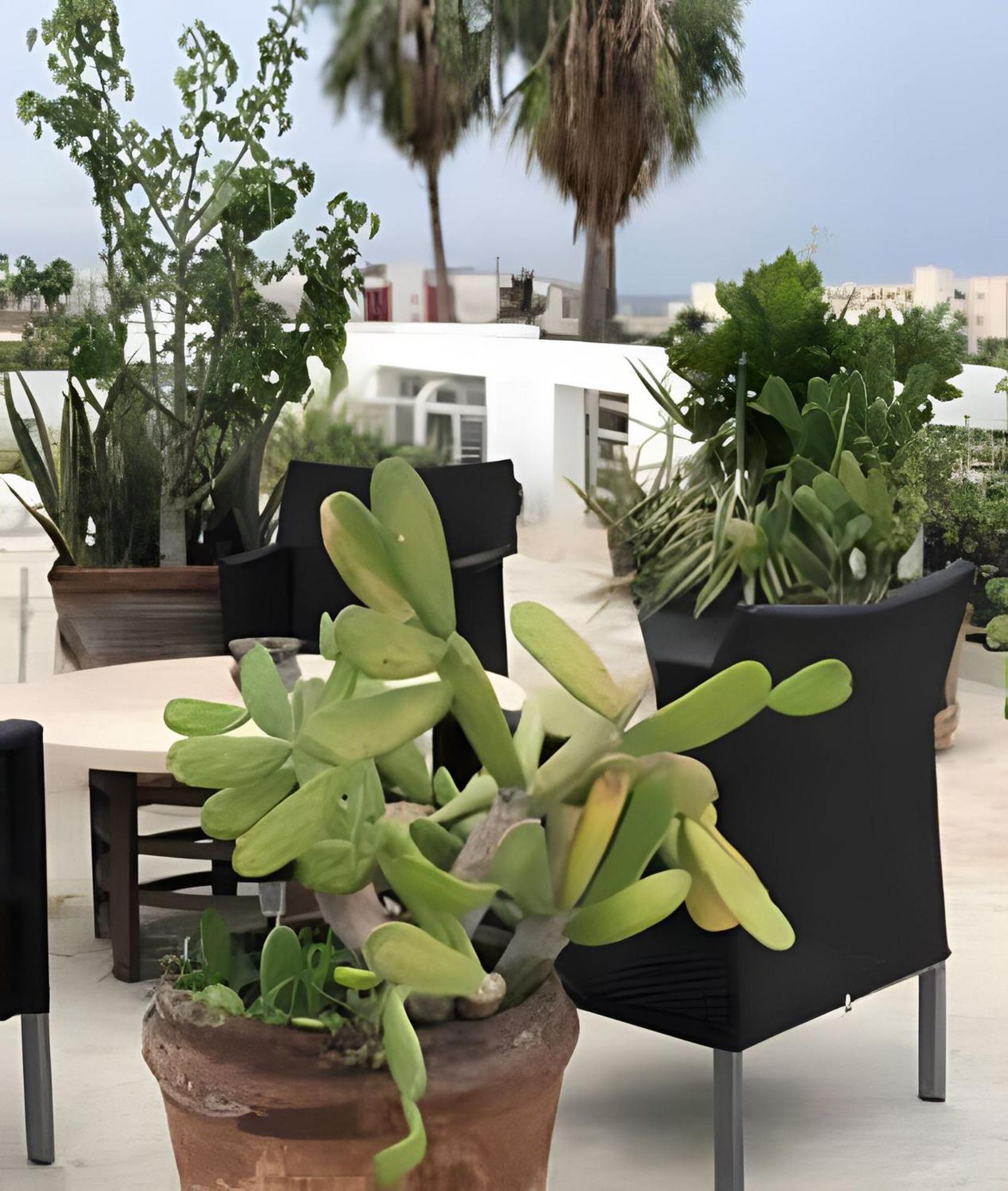 Apartamento 12 De Octubre Cabo San Lucas