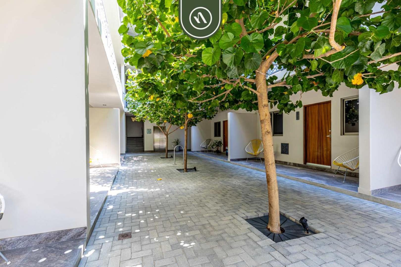 1br With King Bed - Rooftop Pool - Near Downtown Cabo San Lucas