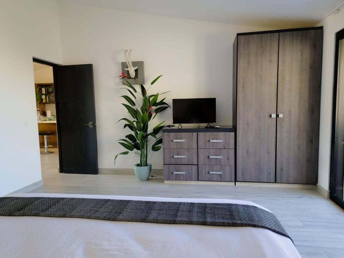 Unit 216-casa Ricardo-ocean View Renovated * Cabo San Lucas