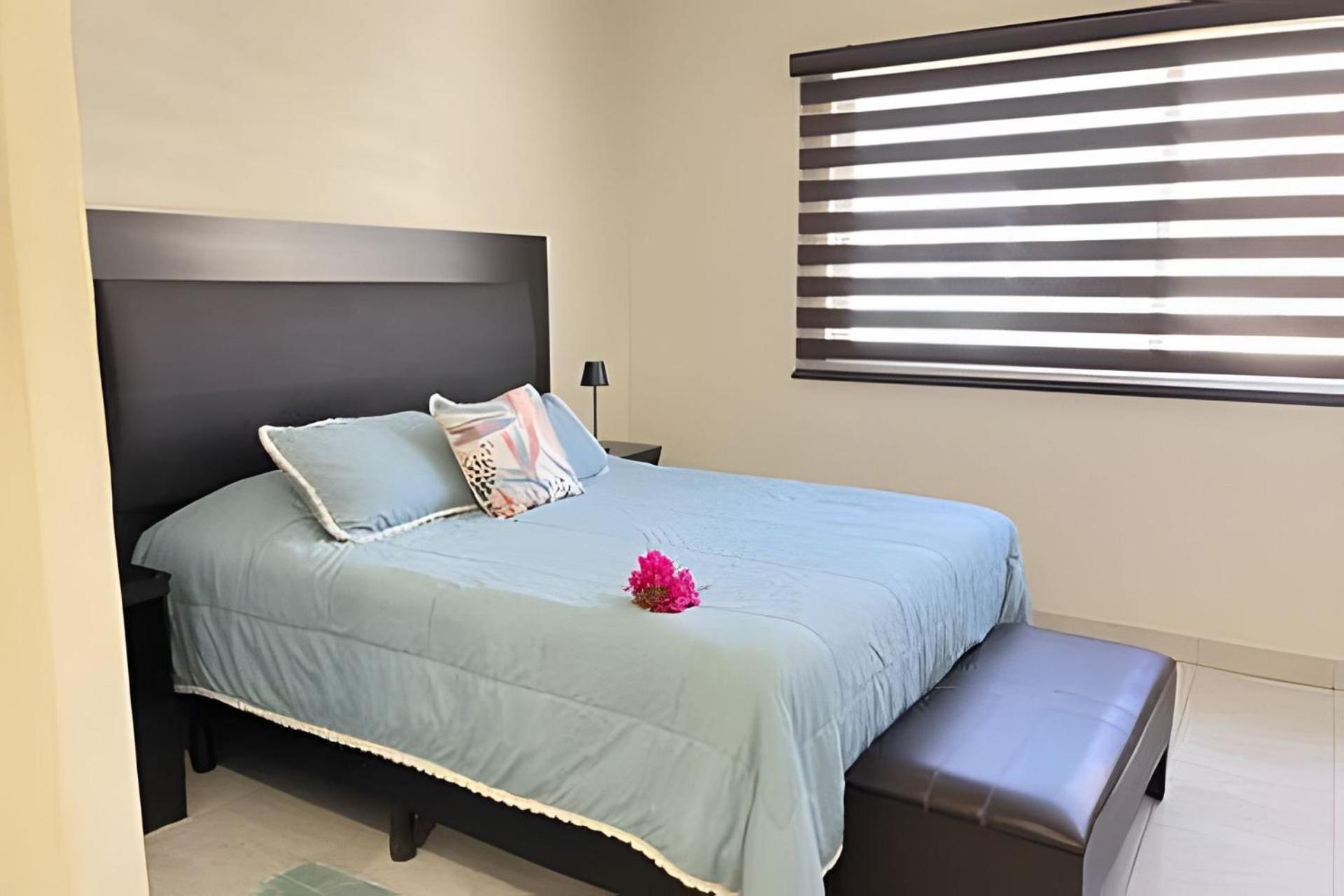 Cabo Hostings Lofts Apartment Cabo San Lucas