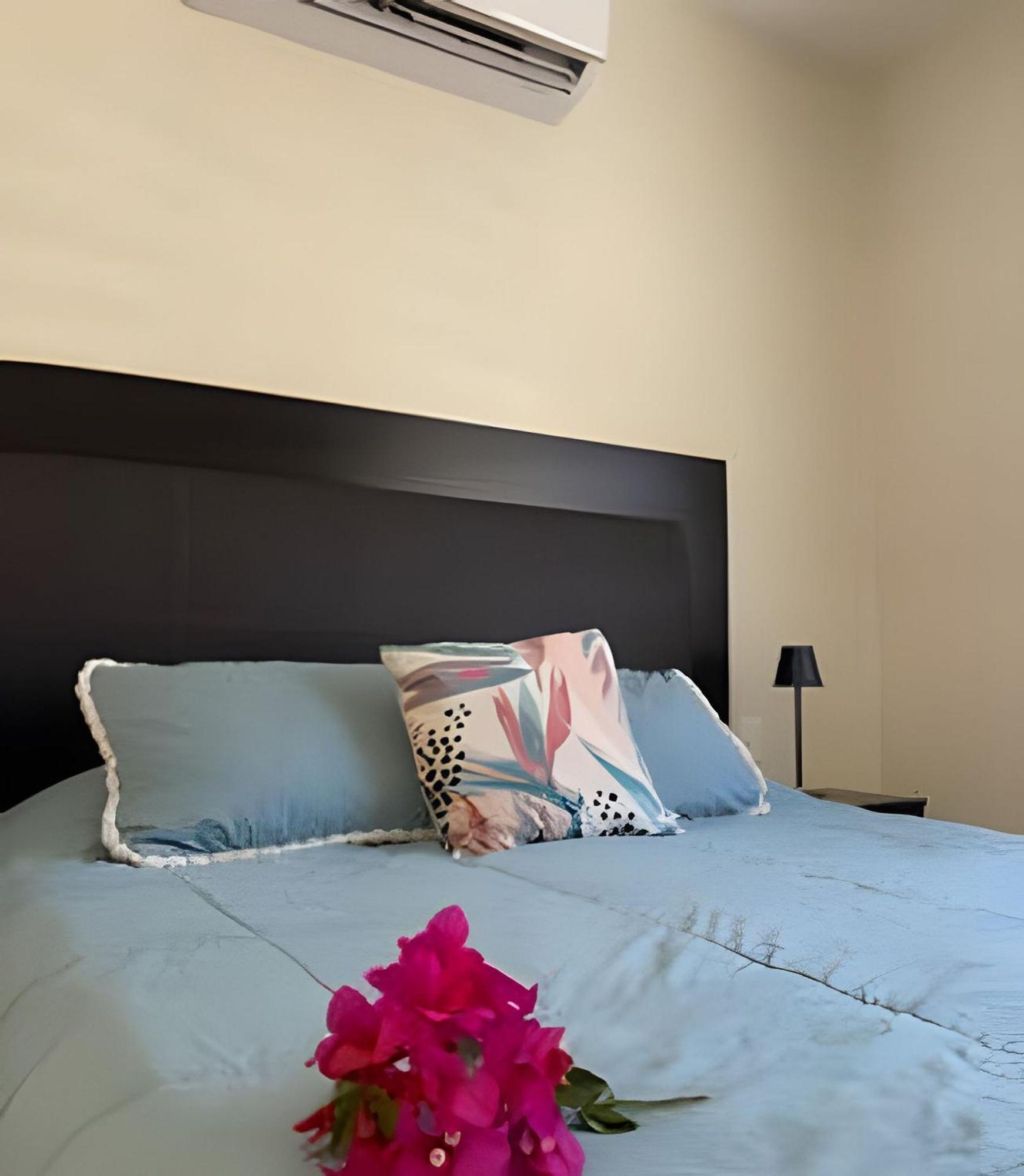 Cabo Hostings Lofts Cabo San Lucas