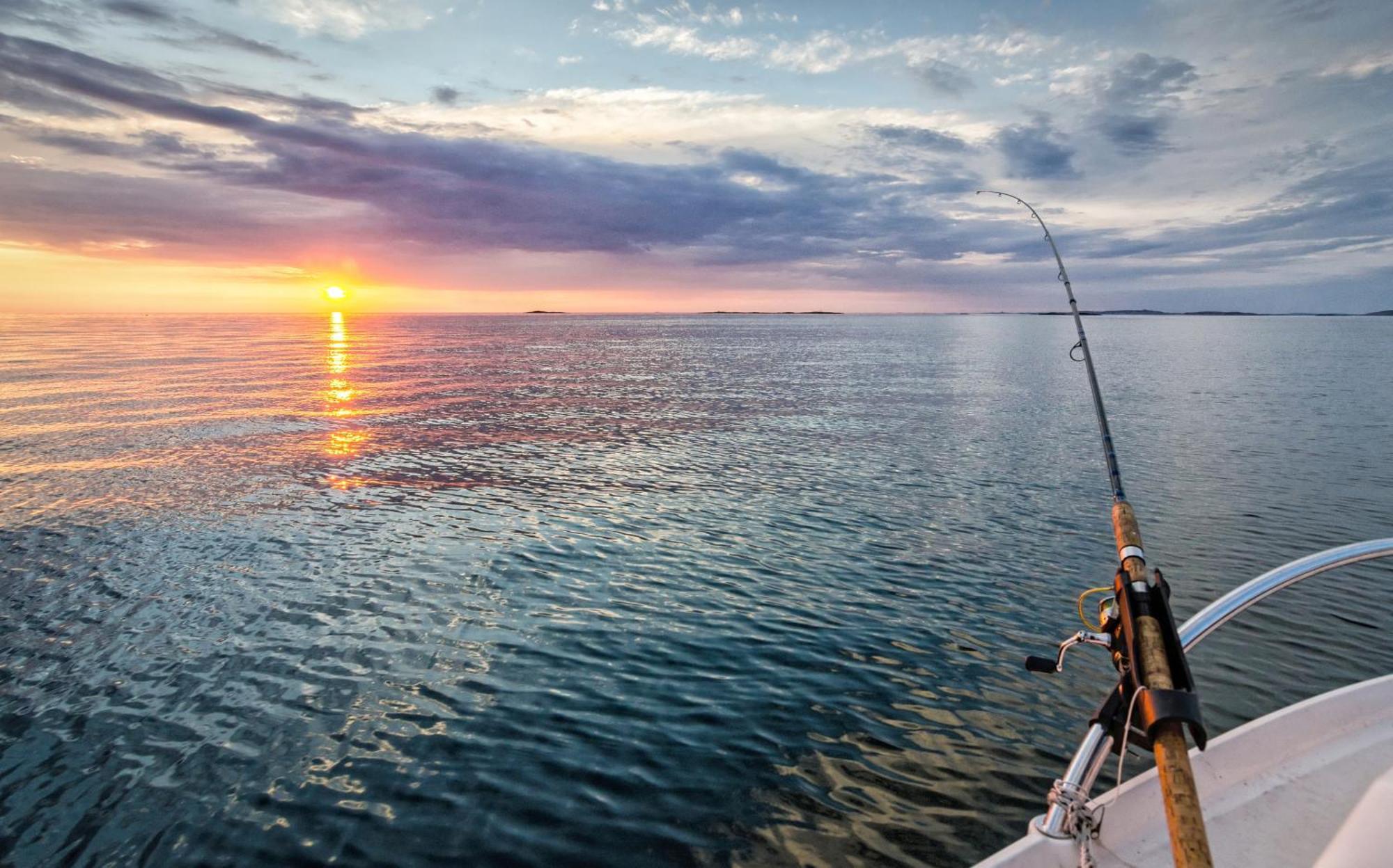 Treat Yourself To Opulence In Exclusive Cabo San Lucas