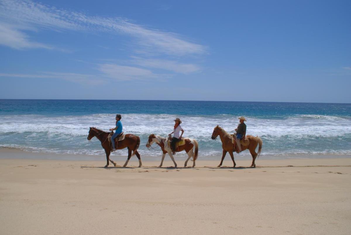 Cabo Manor - Boutique Aparthotel *