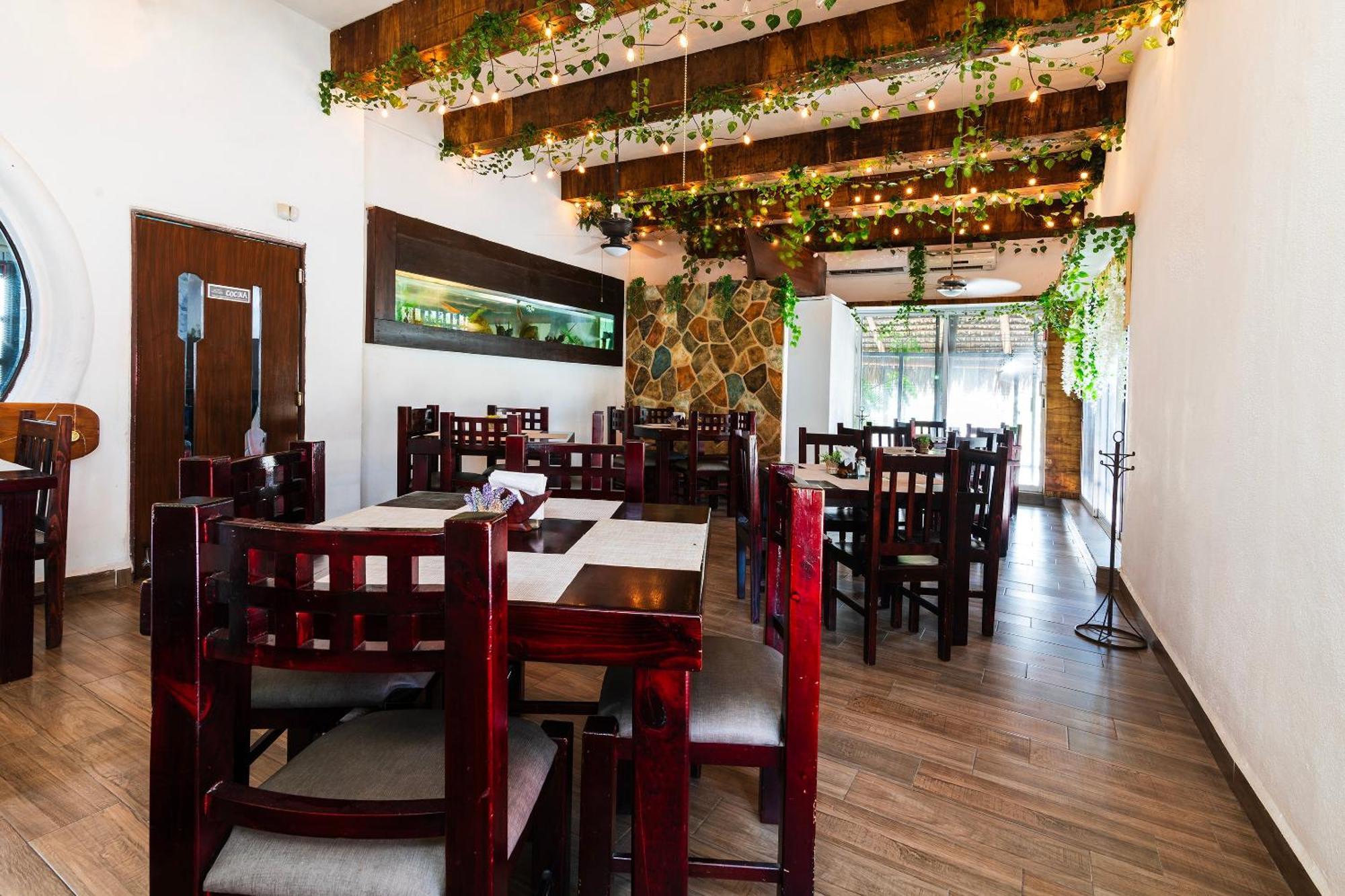 Bed & Breakfast Capital O Del Pescador, Cabos 4*