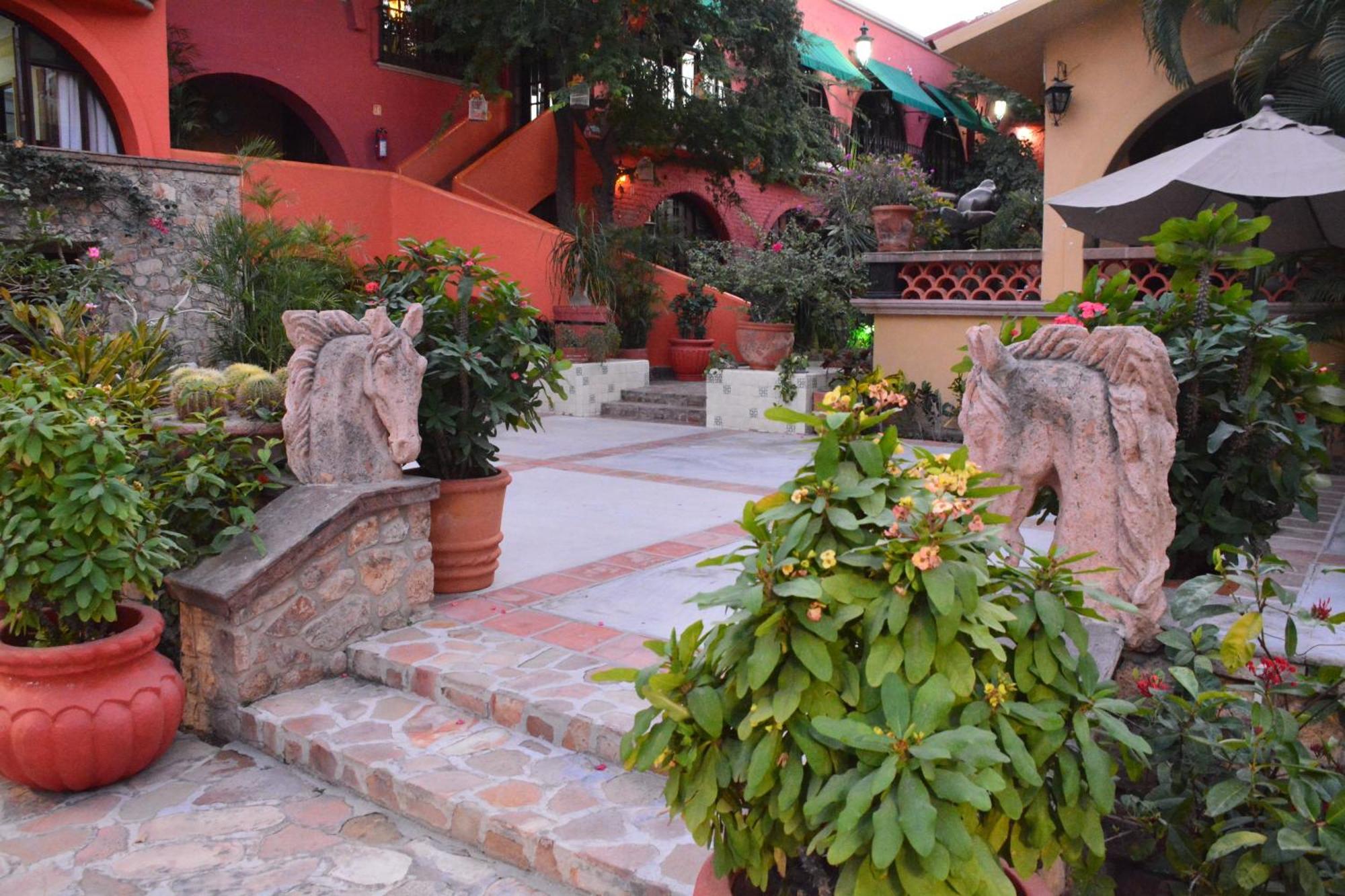 Collection O Casa Bella Boutique, 5* Cabo San Lucas
