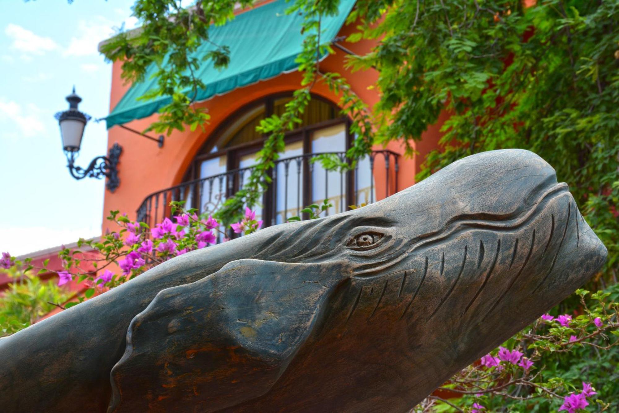 Hotel Collection O Casa Bella Boutique, 5*