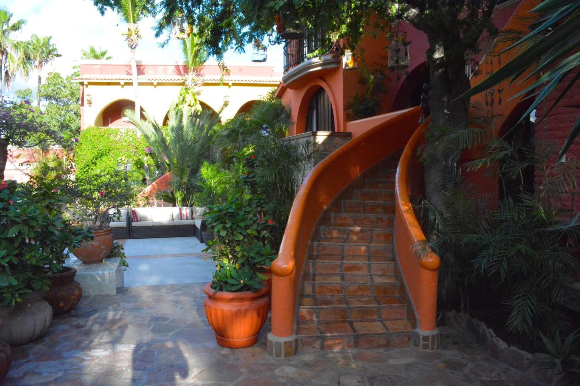 Hotel Collection O Casa Bella Boutique, Cabo San Lucas