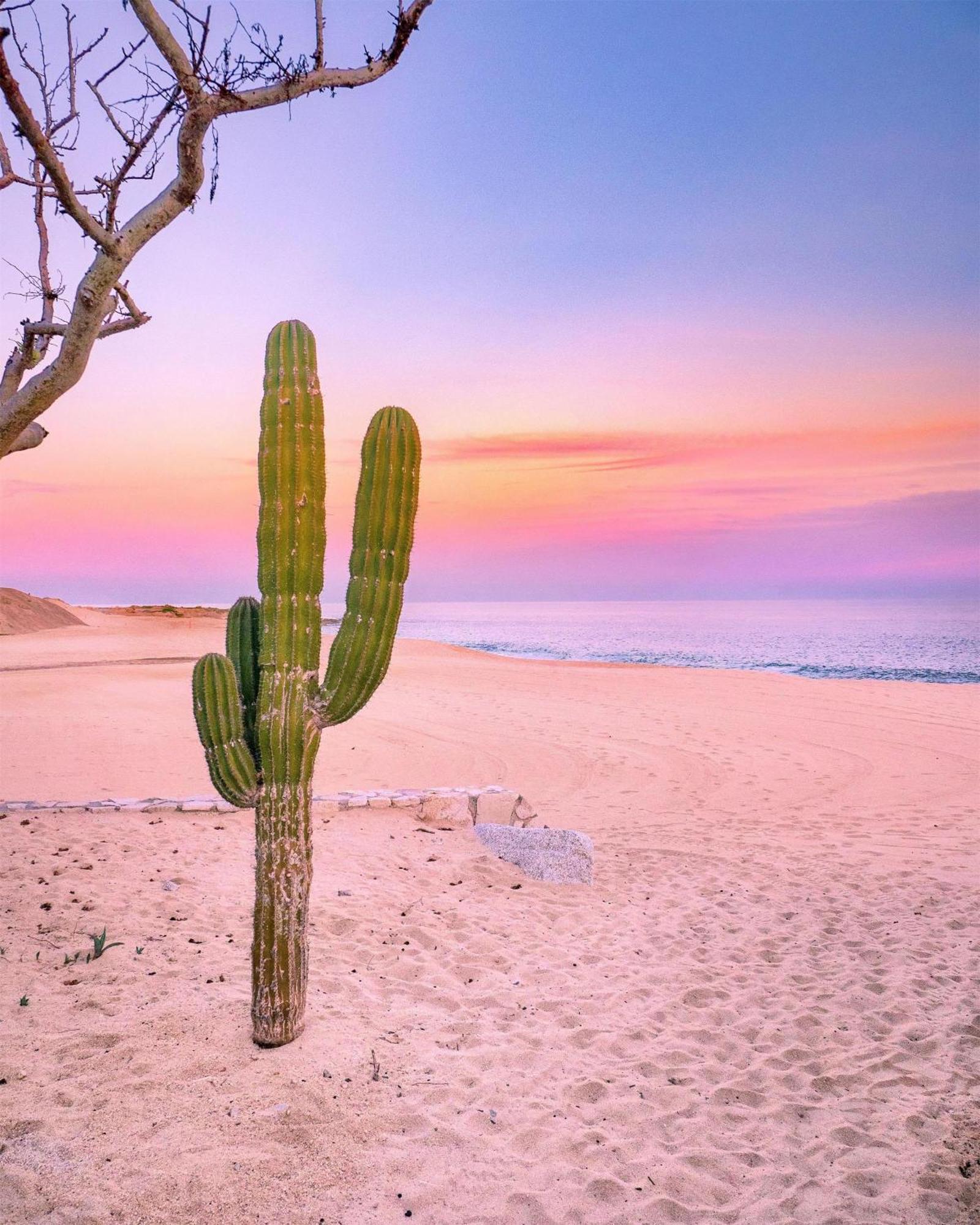 Hotel Park Hyatt Cabos At Cabo Del Sol