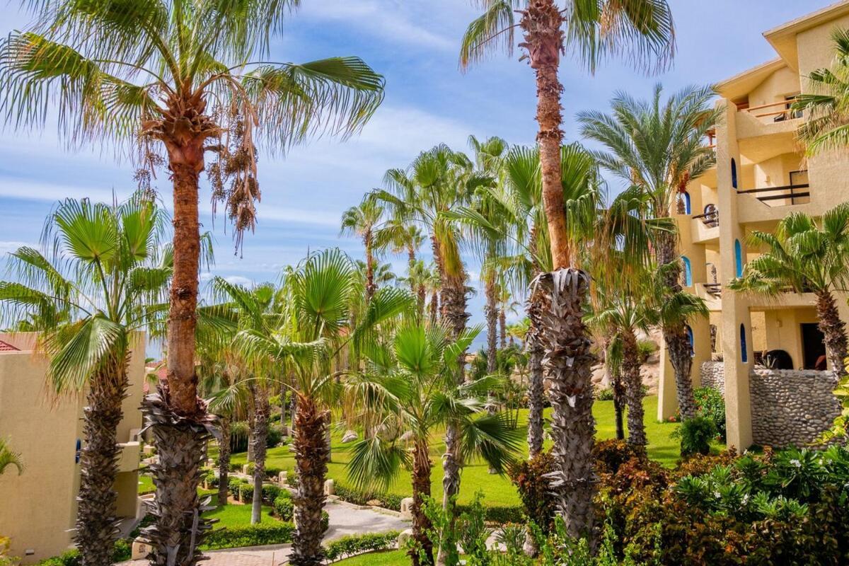 Casa Del Mar- Oceanview, Walk To Dining And Beach! Apartment Cabo San Lucas
