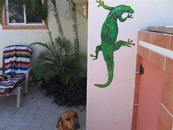 Cabo's Little Secret Two Bedroom * Cabo San Lucas