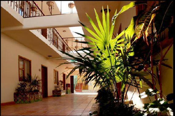 Cabo Cush