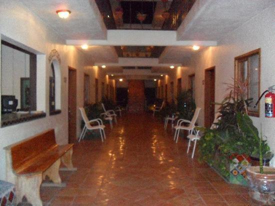 Cabo Cush Cabo San Lucas