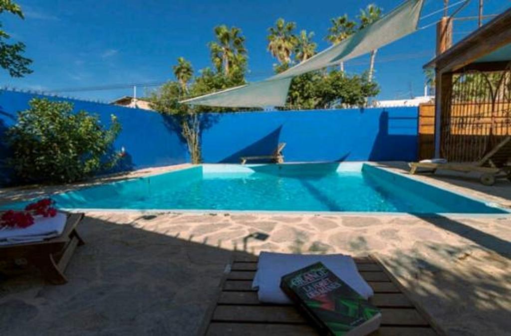 Hostel Ocean Tigers Dive House *