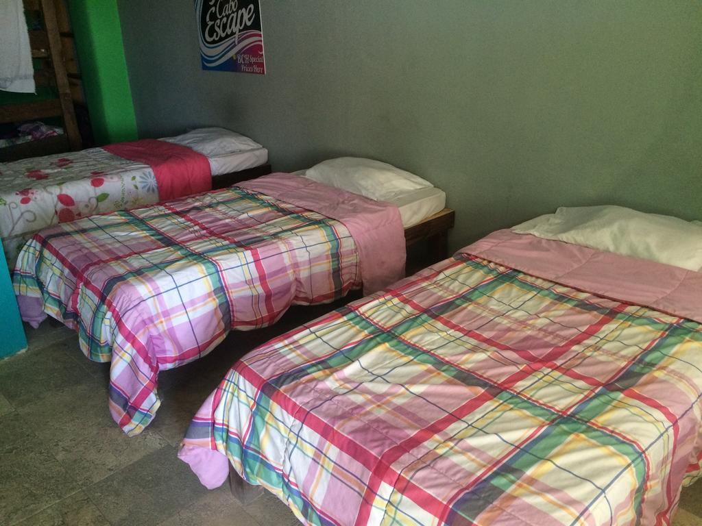 Bajas Cactus Hostel Cabo San Lucas