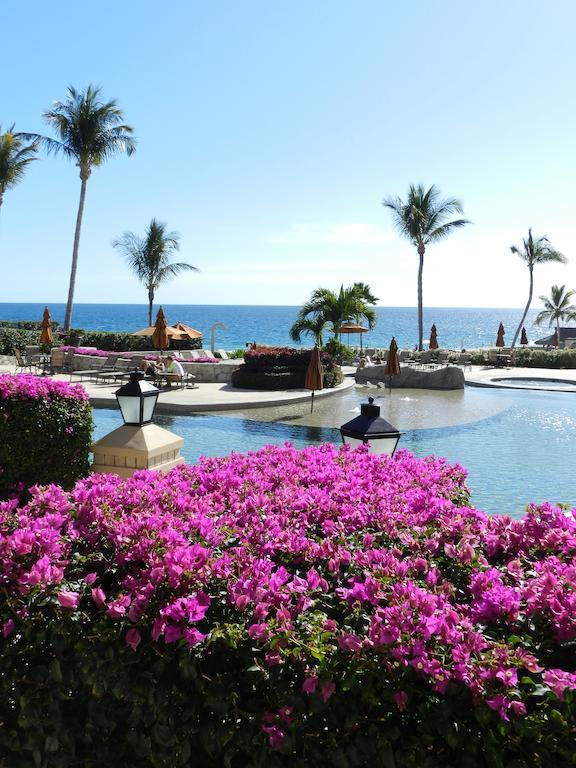 Apartment La Tortuga - Ocean Front *