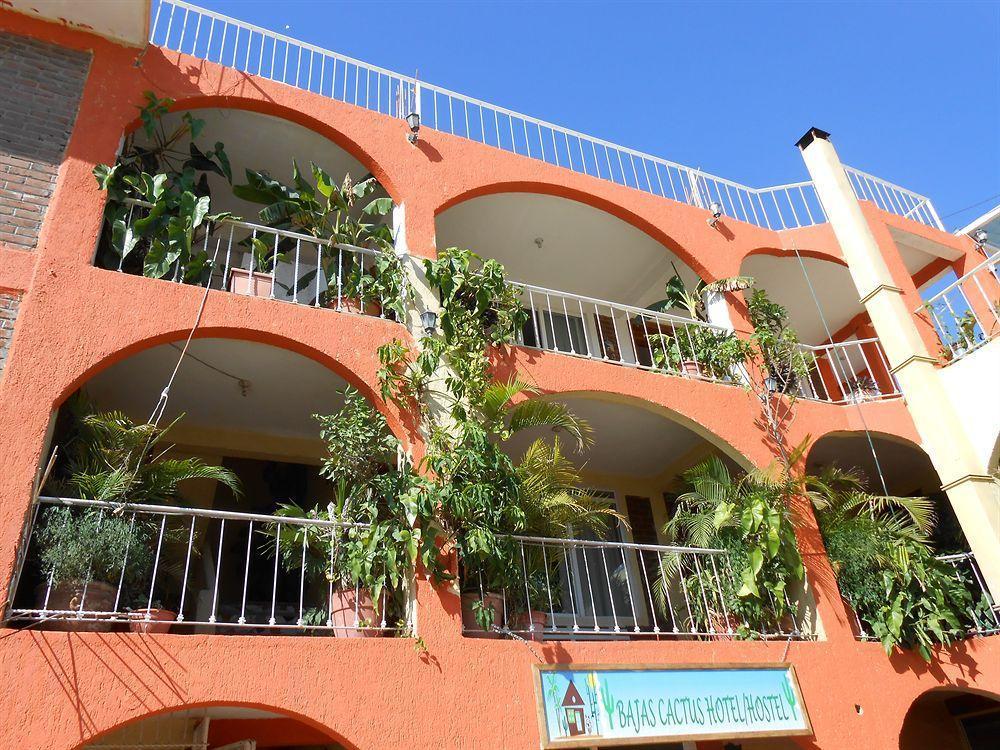 Bajas Cactus Hostel Cabo San Lucas